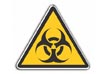 Virus