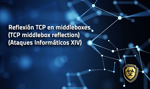 ataques informaticos XIV tcp middlebox reflection